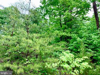 RIDGES AT CEDAR CREEK - Land