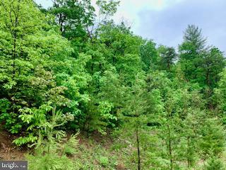 RIDGES AT CEDAR CREEK - Land