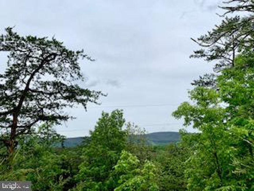 Star Tannery, VA Fantastic Valley-Vista Views from this hill side 3 acre lot. Great hilltop setting lot offers a septic letter for a 3 bedrooms home! Located in Southeastern Frederick Co/Shenandoah County line.  Close to Rt 55/48 to I-81 & 66.  No HOA NO covenants at the Ridges at Ceder Creek!