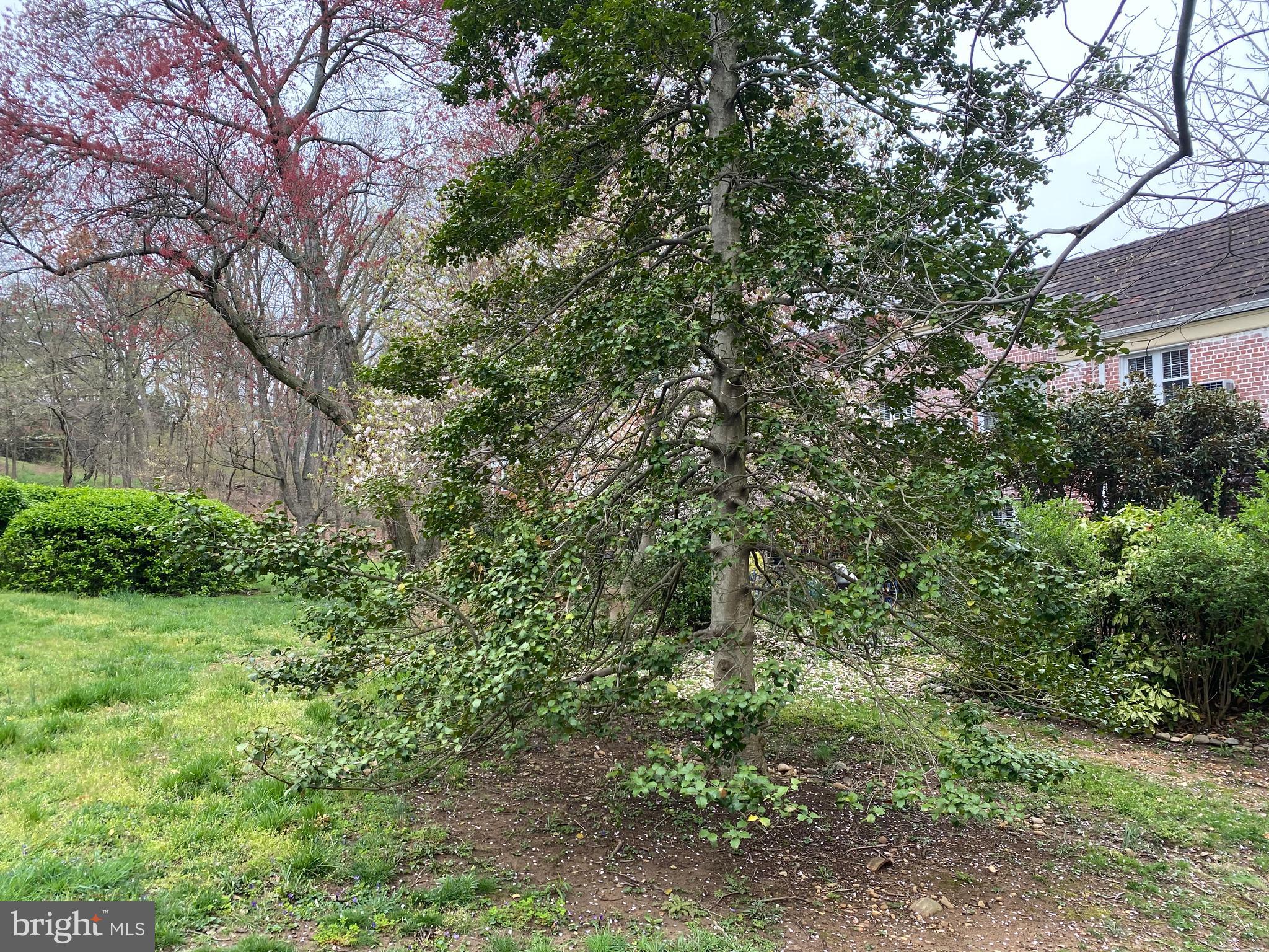 PARKFAIRFAX - Residential Lease