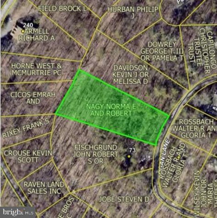 🌿 Build Your Vision in Shenandoah County 🌿

Discover the perfect opportunity to create your dream home in the scenic Bryce Mountain Subdivision of Mount Jackson, Virginia. Nestled on .85 acres along Bogan Lane, this residential lot offers the ideal blend of privacy, natural beauty, and potential.

Surrounded by mature trees and the peaceful charm of Shenandoah County, this property provides a tranquil setting while still being conveniently located near local amenities, major roadways, and outdoor recreation. Whether you're looking to build a full-time residence, a weekend retreat, or an investment property, this lot delivers incredible value.

Enjoy close proximity to Bryce Resort, hiking trails, skiing, golf, and all that the Shenandoah Valley lifestyle has to offer. With other properties in the area selling and development continuing, now is the perfect time to secure your piece of land in this growing community.

✨ Property Highlights:

.85 Acre Residential Lot

Located in Bryce Mountain Subdivision

Quiet, wooded setting

Ideal for custom home or getaway retreat.

Don’t miss your chance to invest in land and build something truly special.