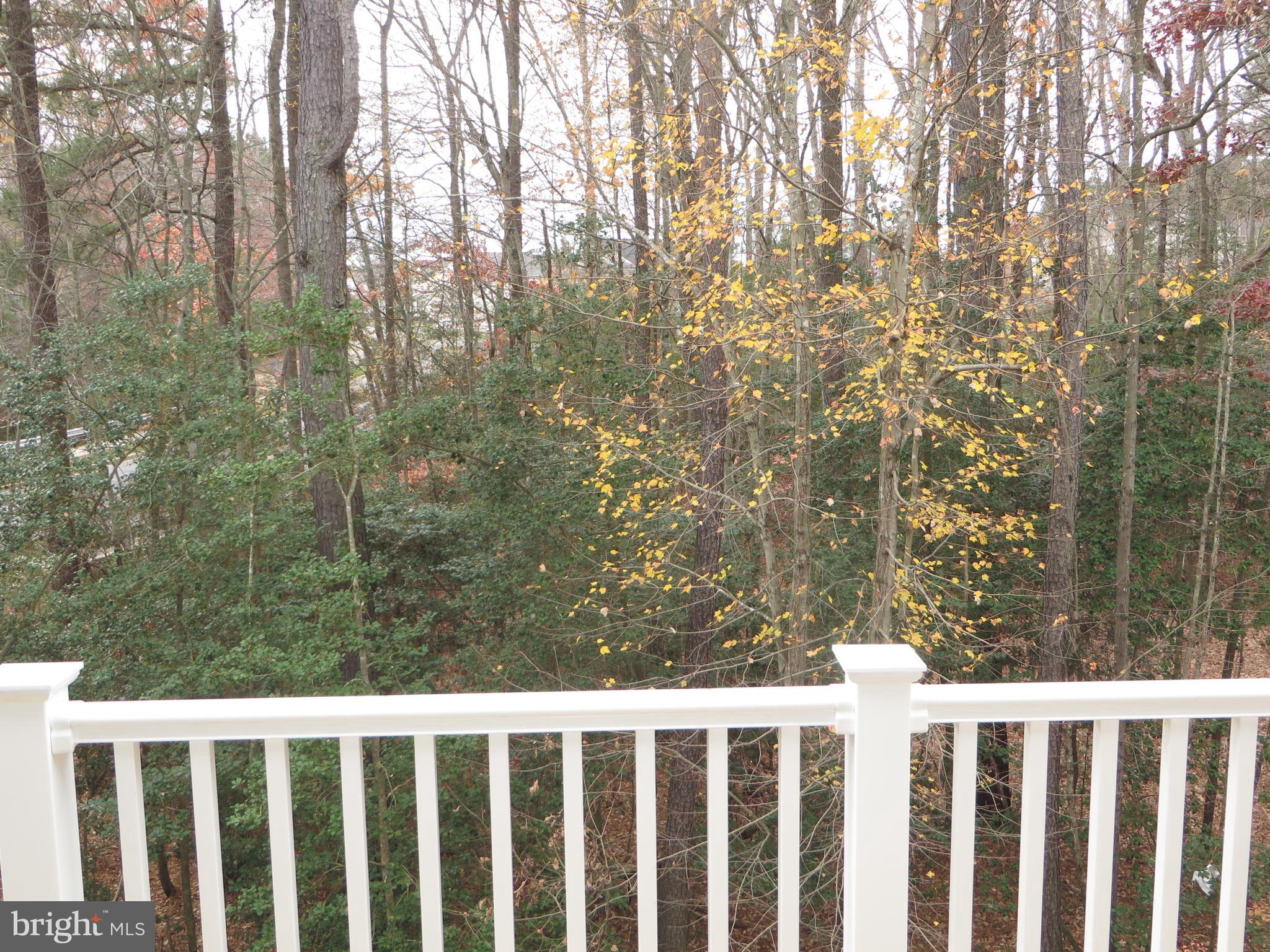 WILDEWOOD - Residential Lease