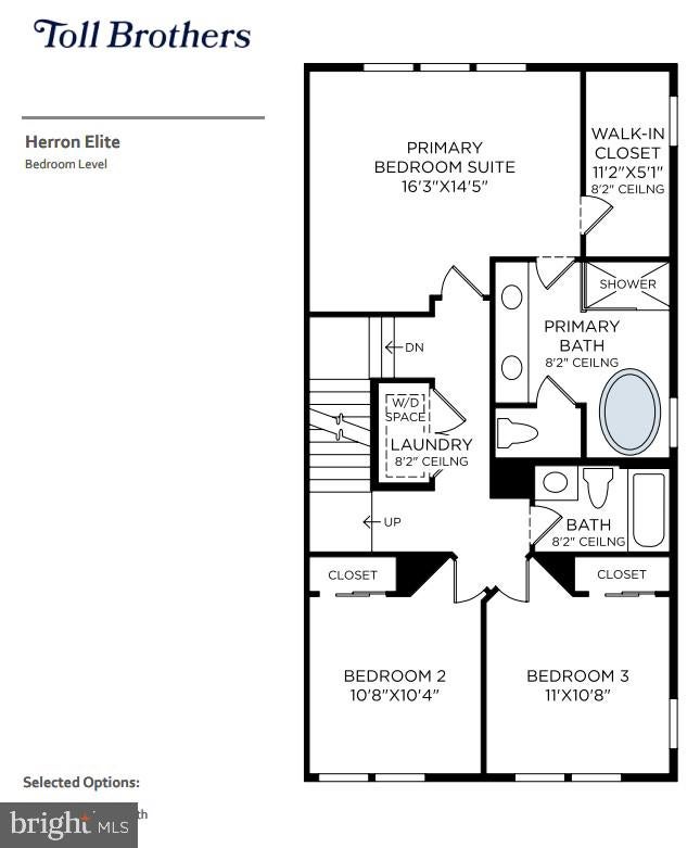 1 PECAN COURT HOMESITE 41