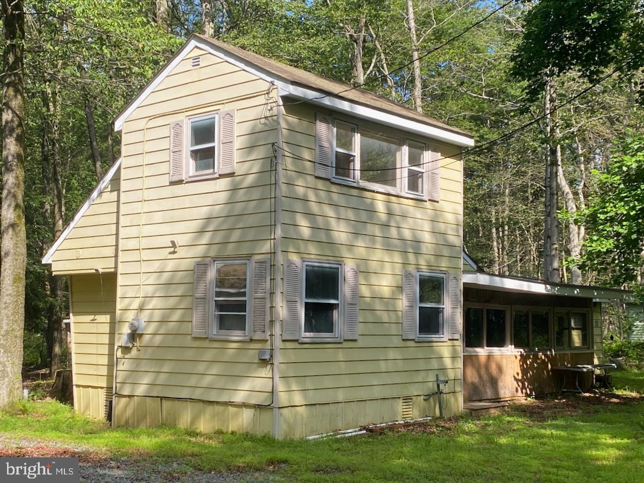 20 YELLOW FEATHER PATH