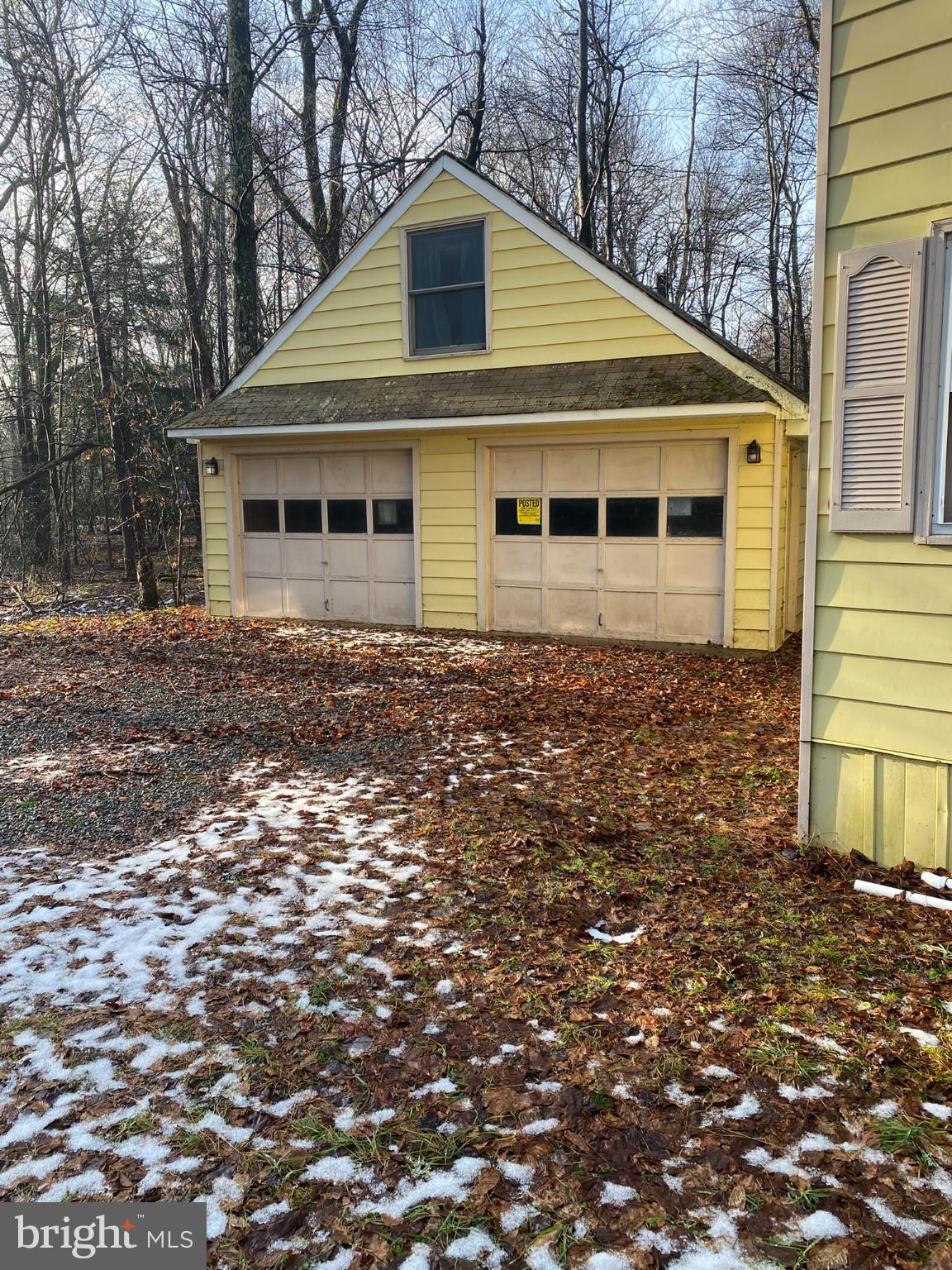 20 YELLOW FEATHER PATH