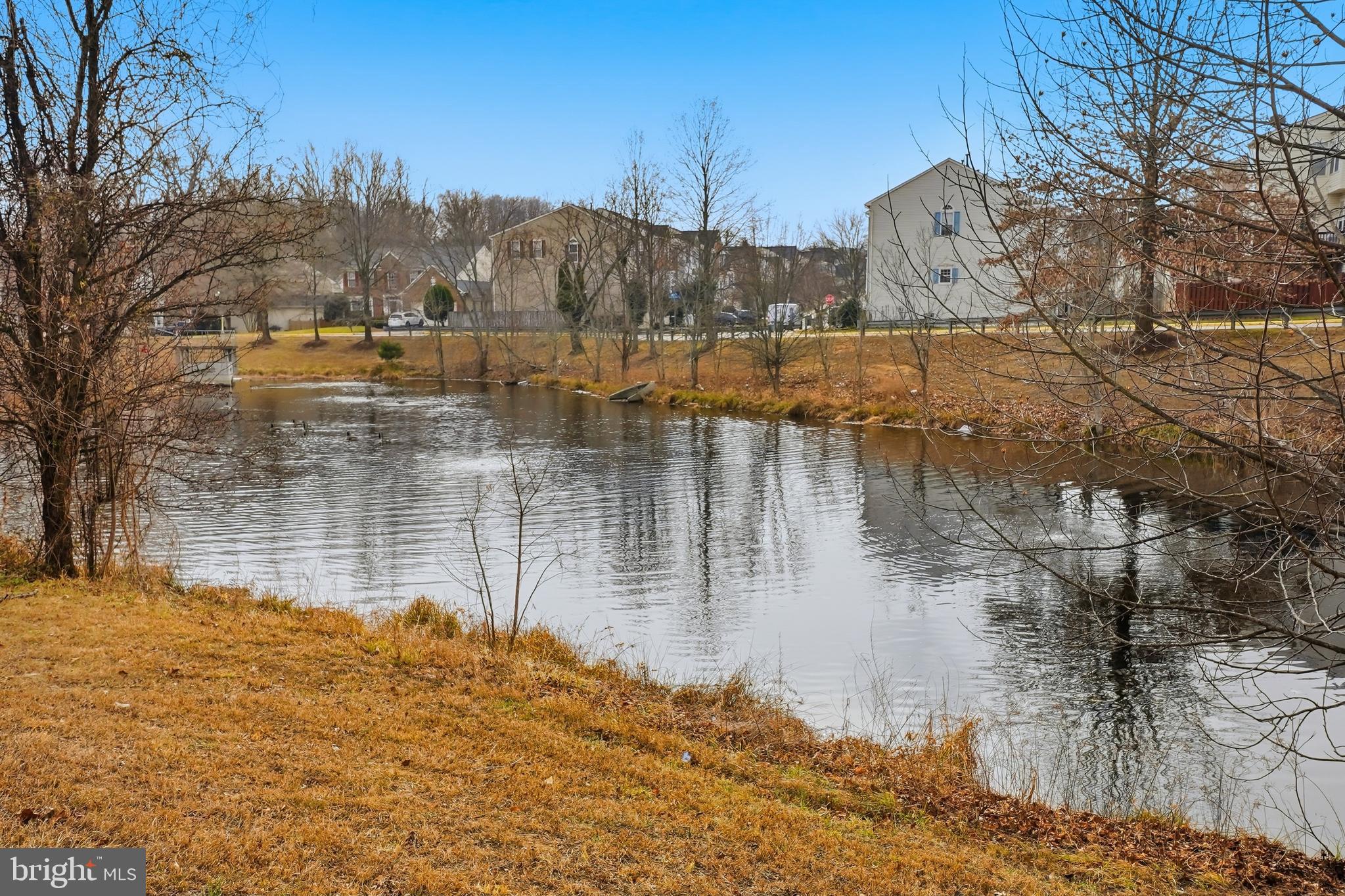 MASONS PASSAGE - Residential Lease