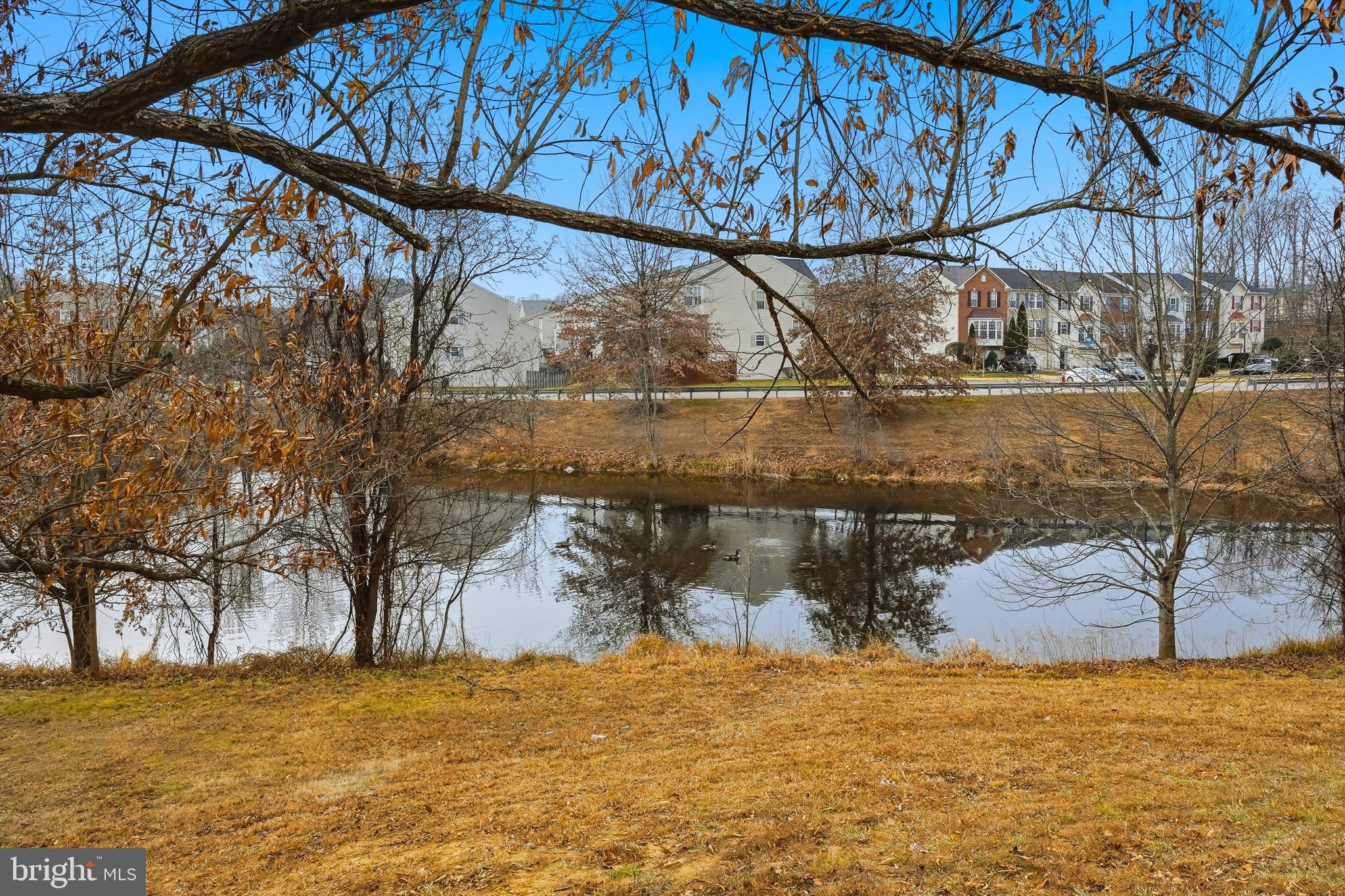 MASONS PASSAGE - Residential Lease