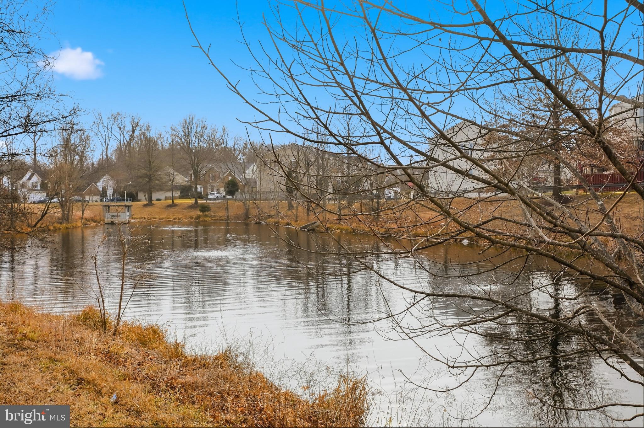 MASONS PASSAGE - Residential Lease