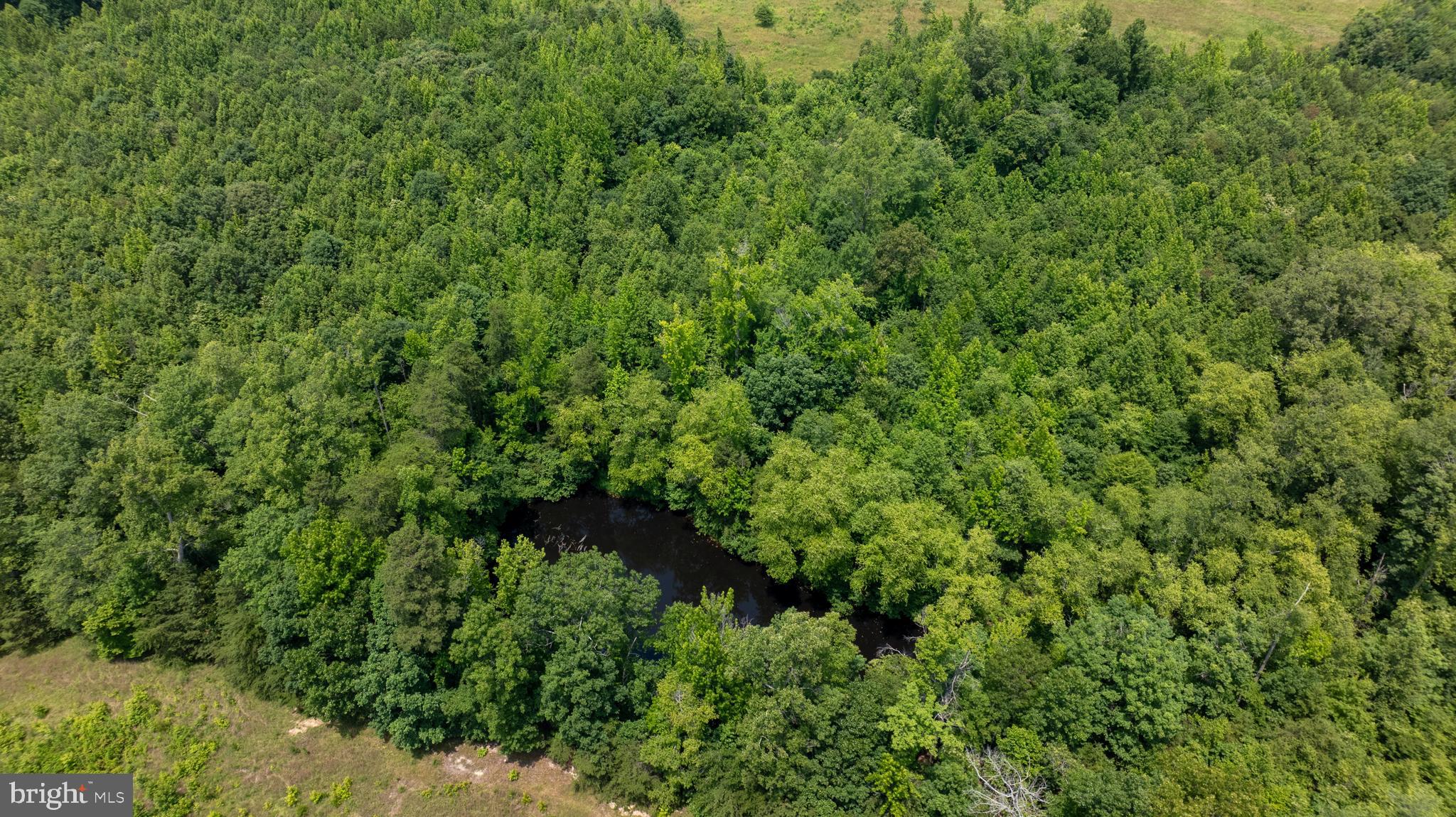 TBD PINEY GROVE ROAD LOT 20