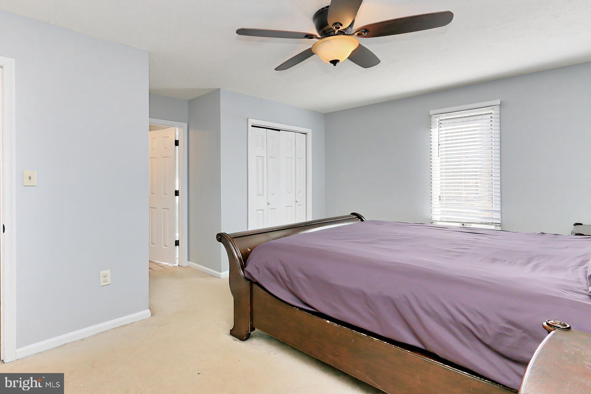 SHANNON WDS-BALL - Residential