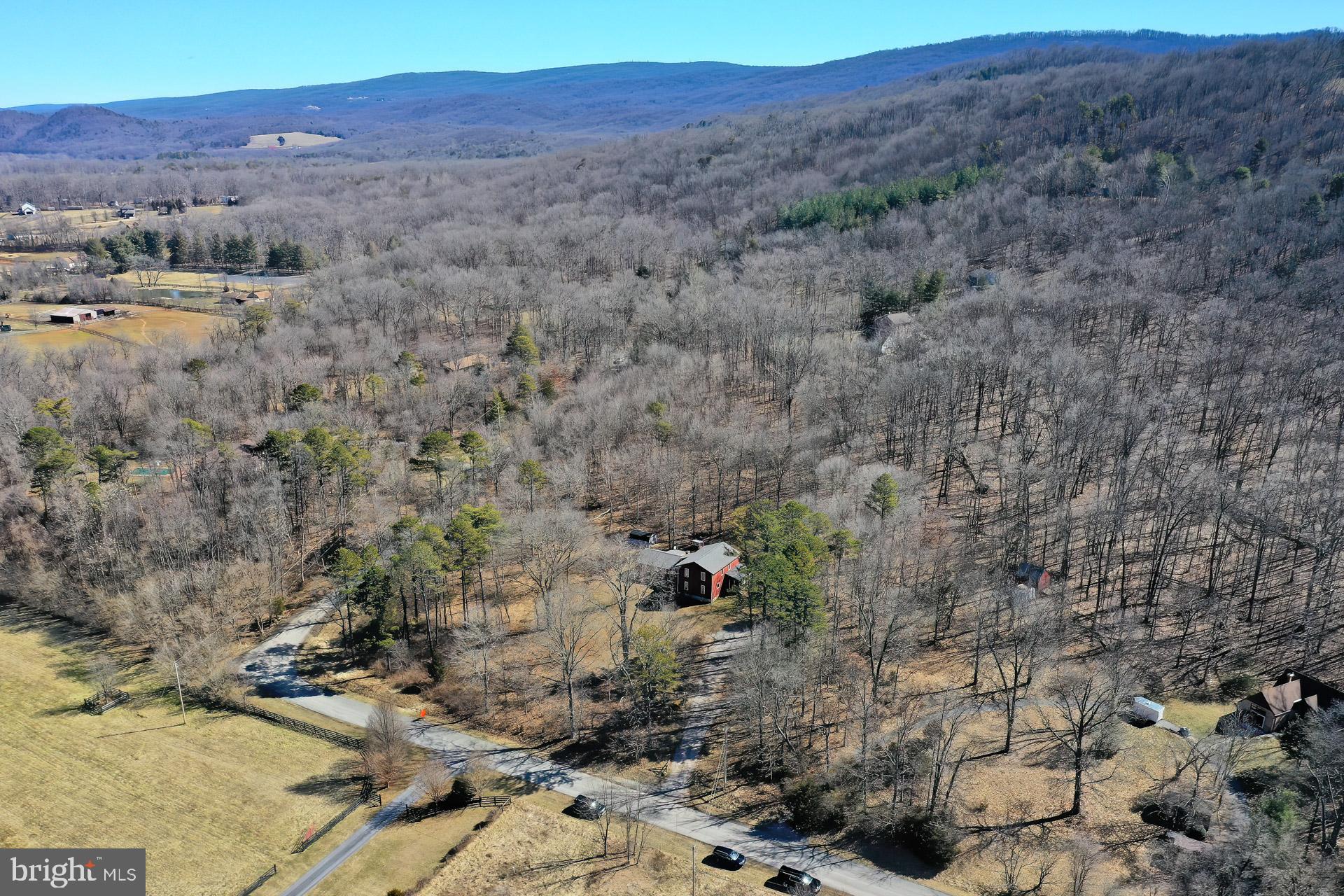 SHANNON WDS-BALL - Residential