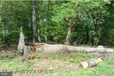 COLLEGE PARK WOODS - Land