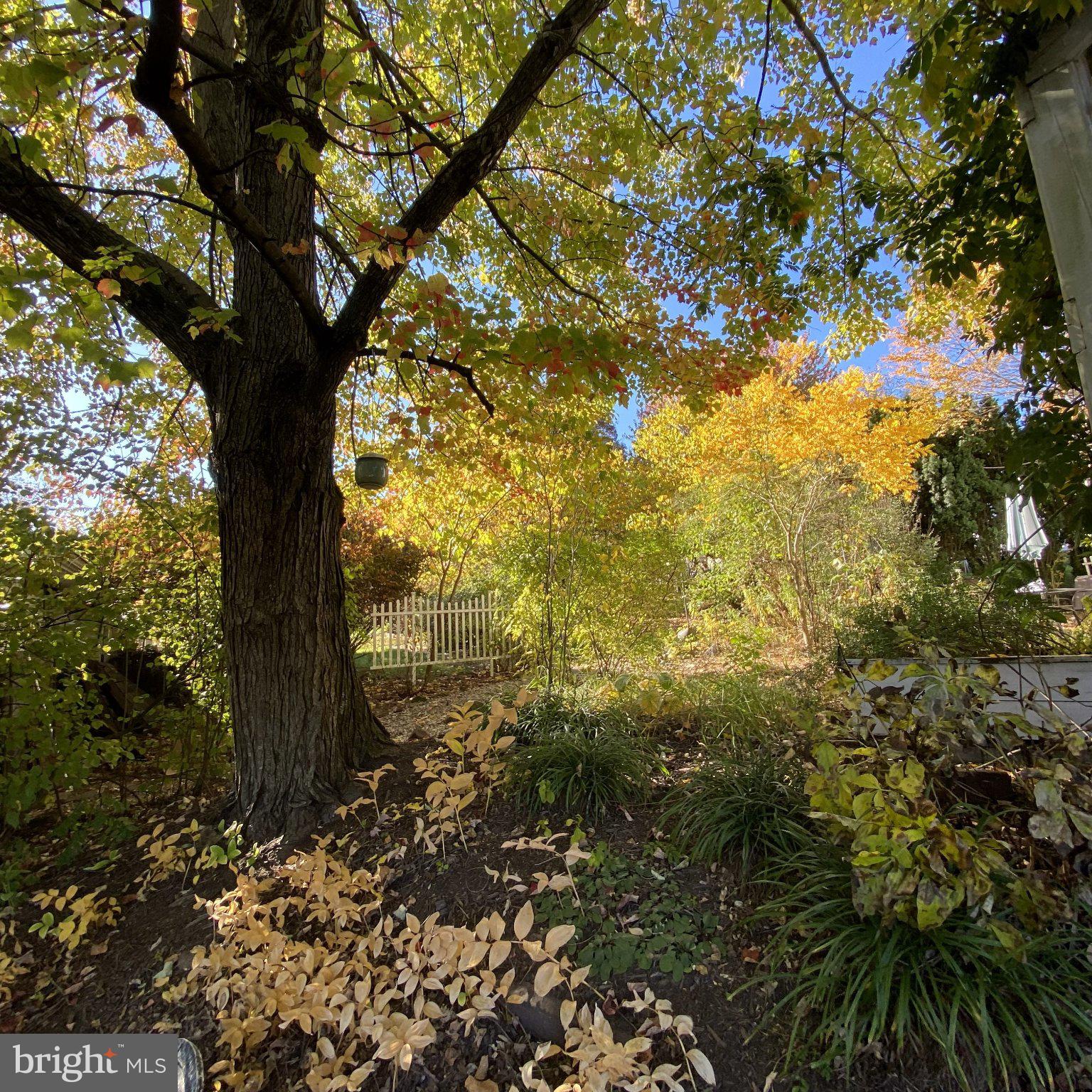 DAUPHIN COUNTY - Residential