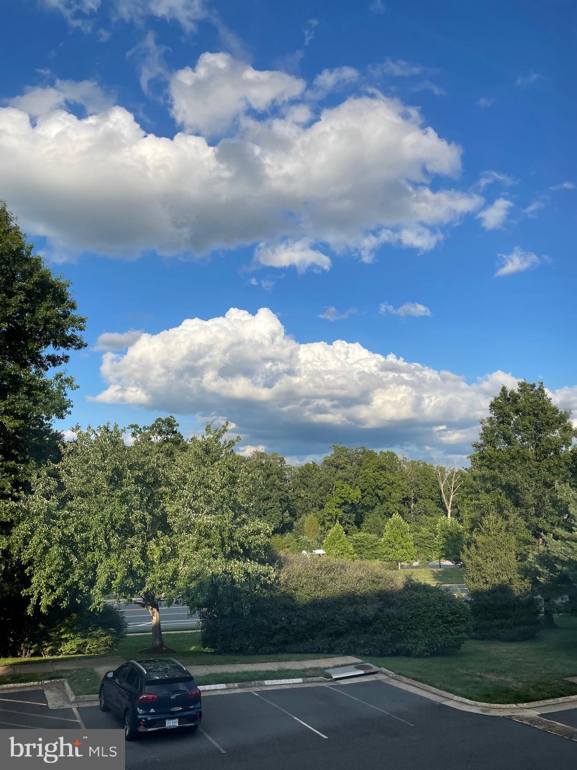 UNIVERISTY CENTER - Residential Lease