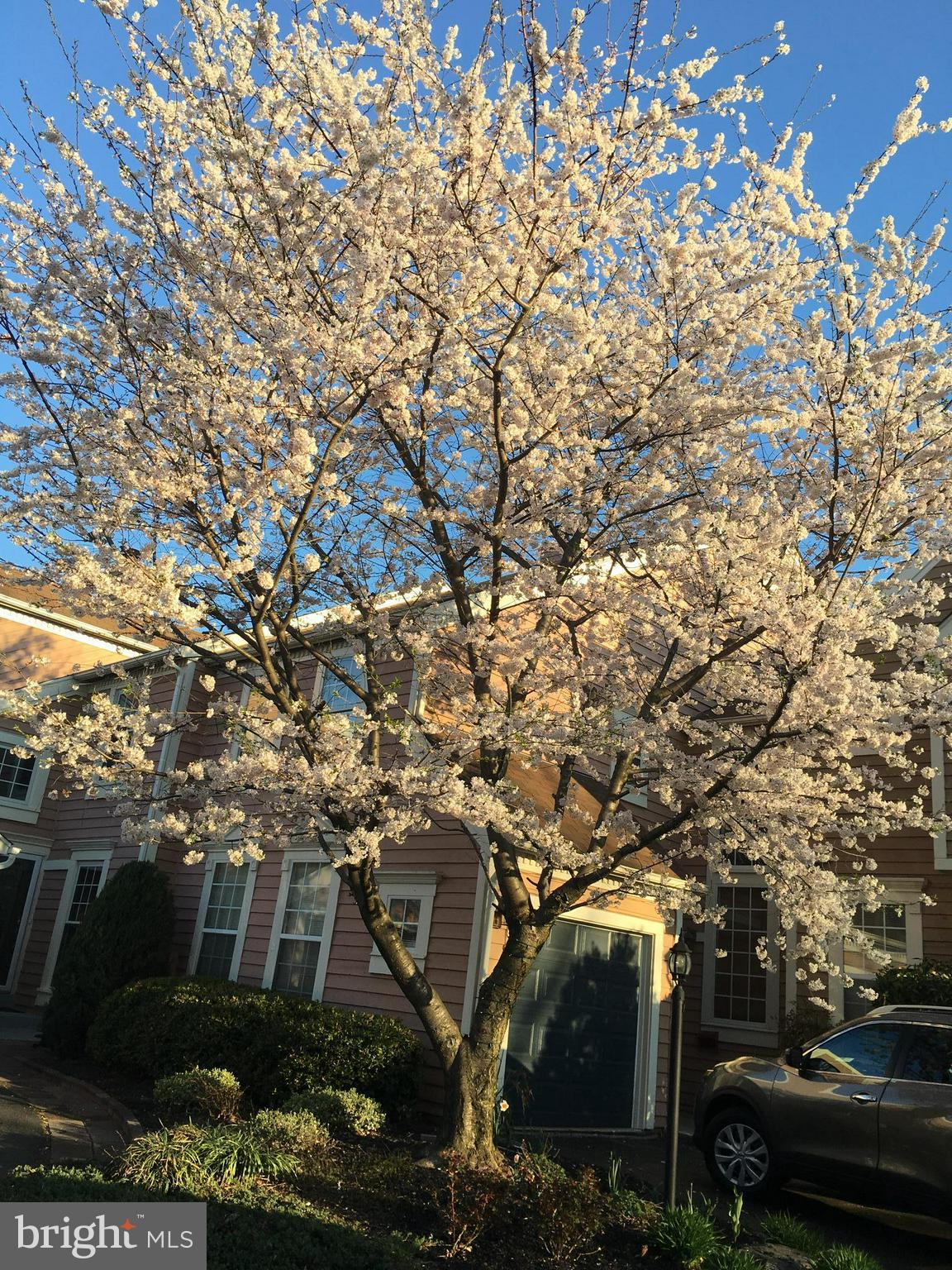 ASHBURN FARM - Residential