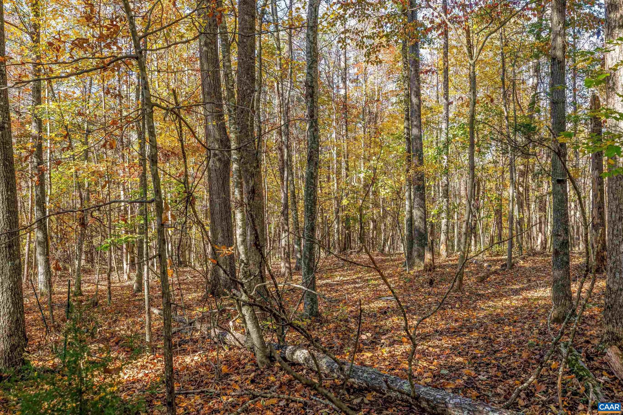 FOXRIDGE - Residential