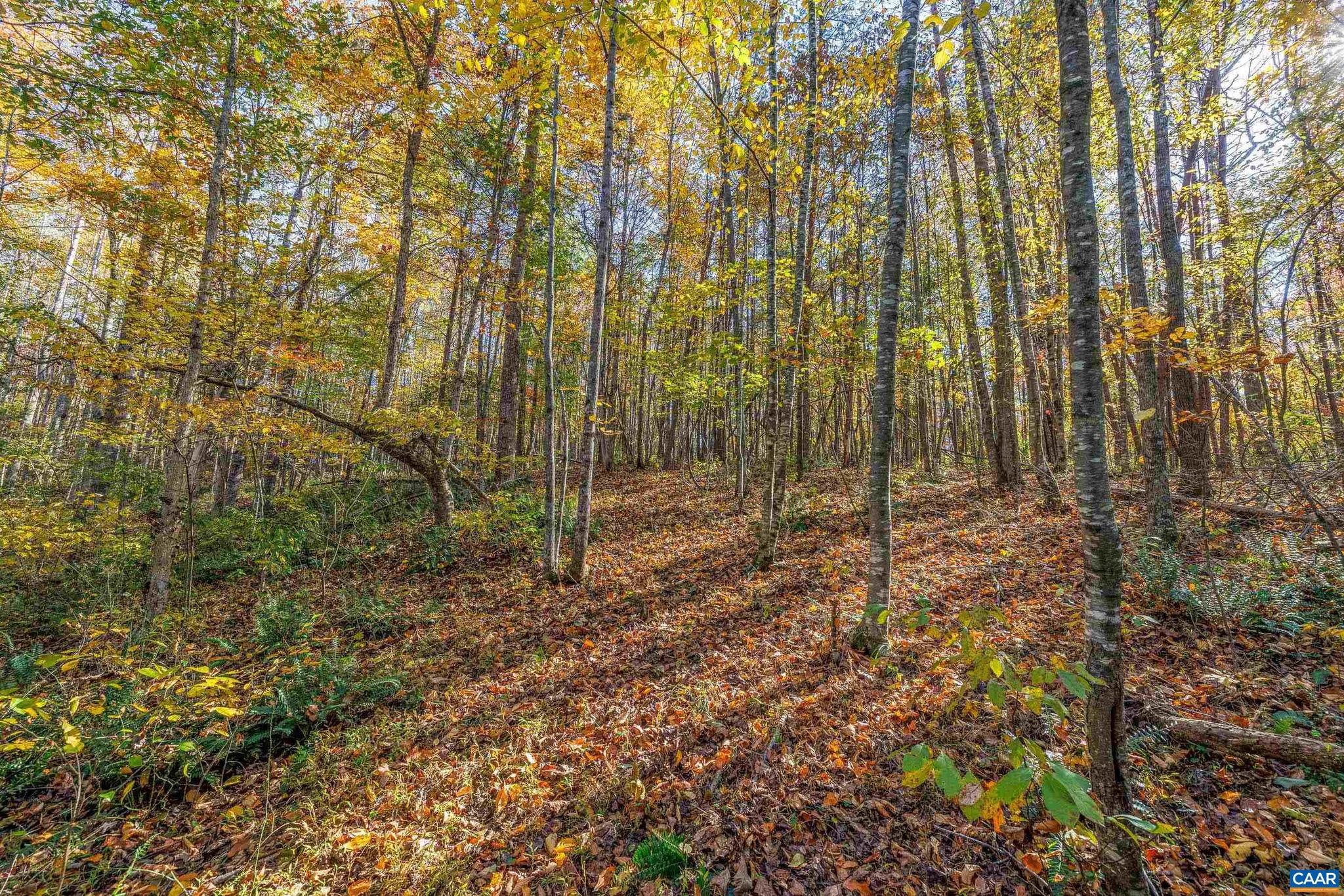 FOXRIDGE - Residential