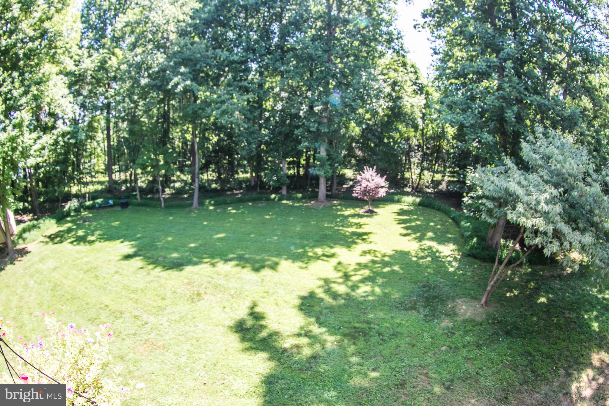 EVERGREEN FOREST - Residential