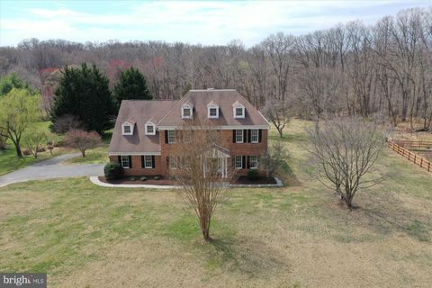 listing image 64
