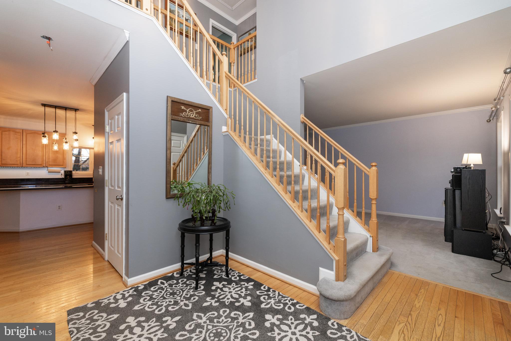 HARDEY - Residential