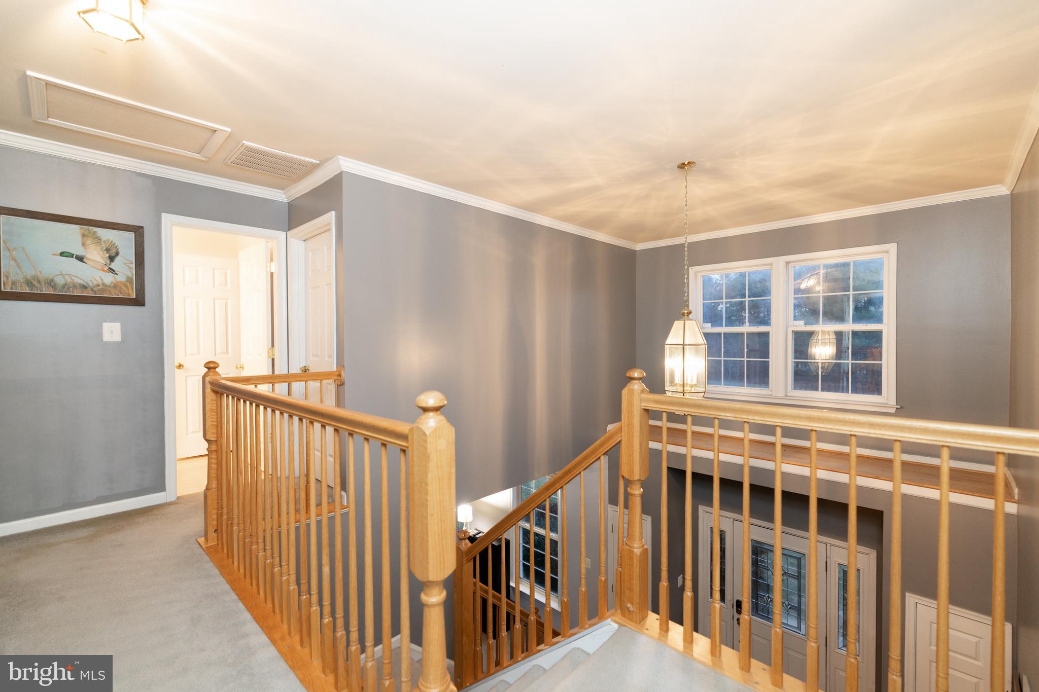 HARDEY - Residential