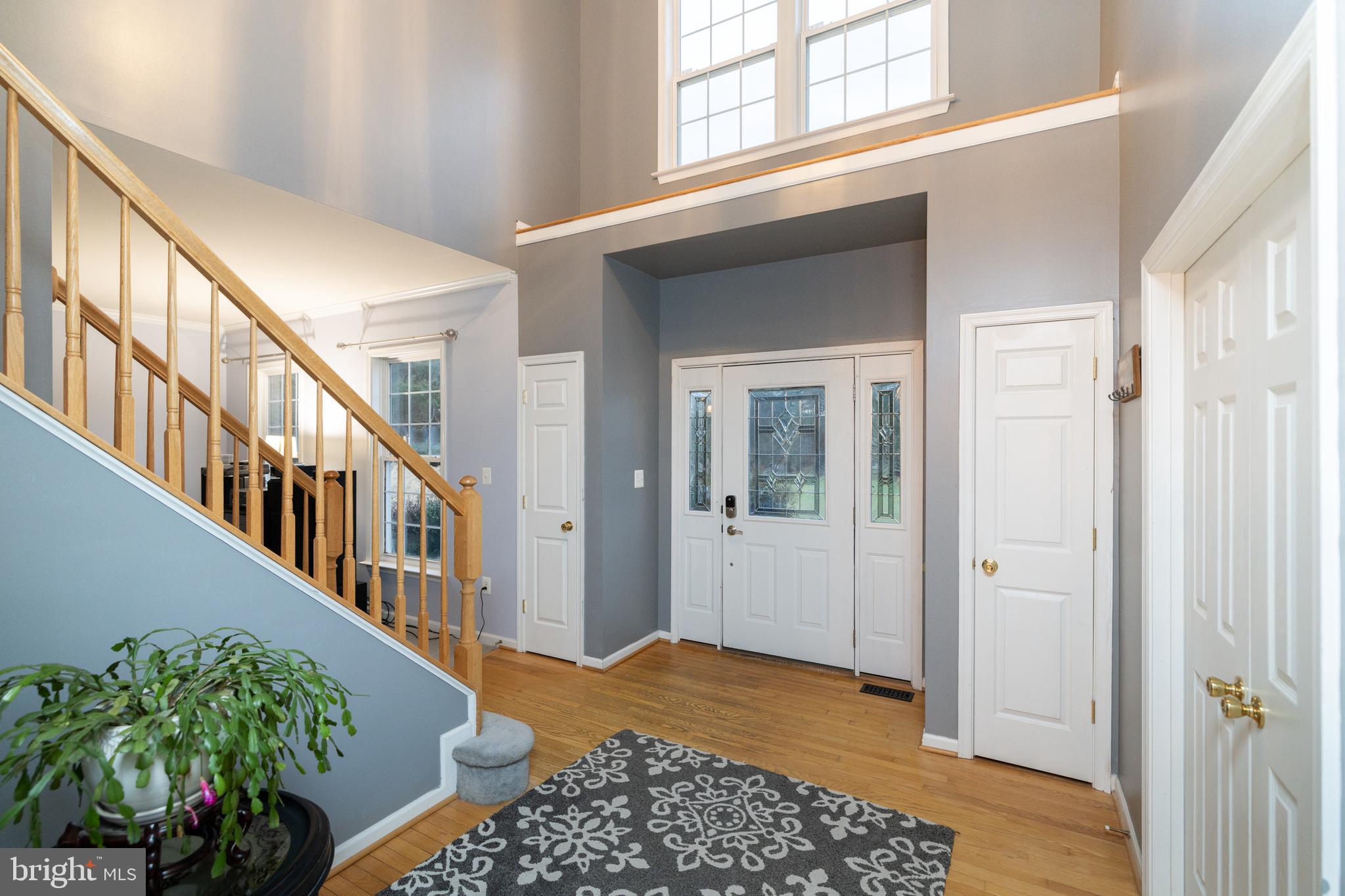 HARDEY - Residential