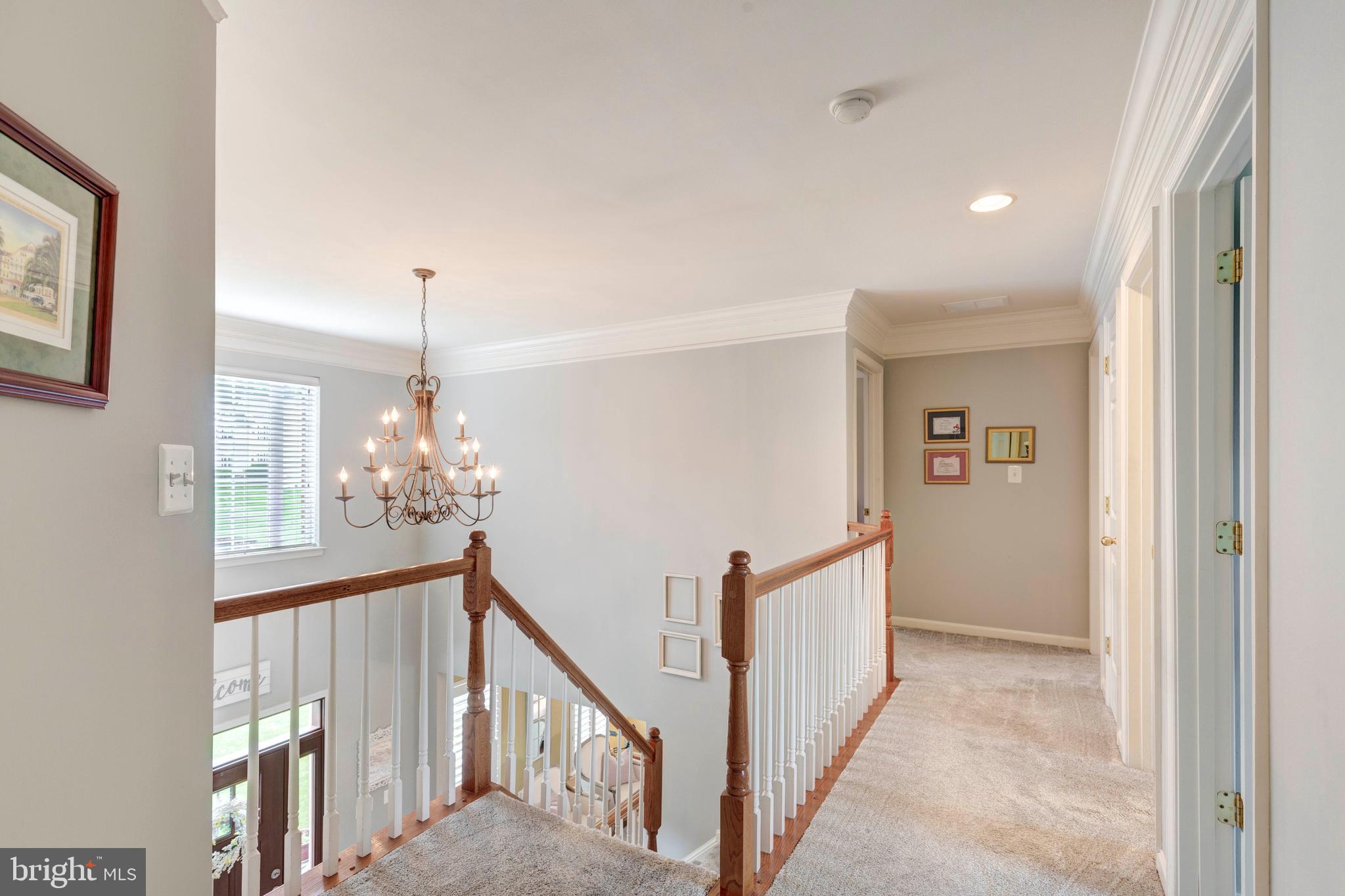 SPRUCE MEADOWS - Residential