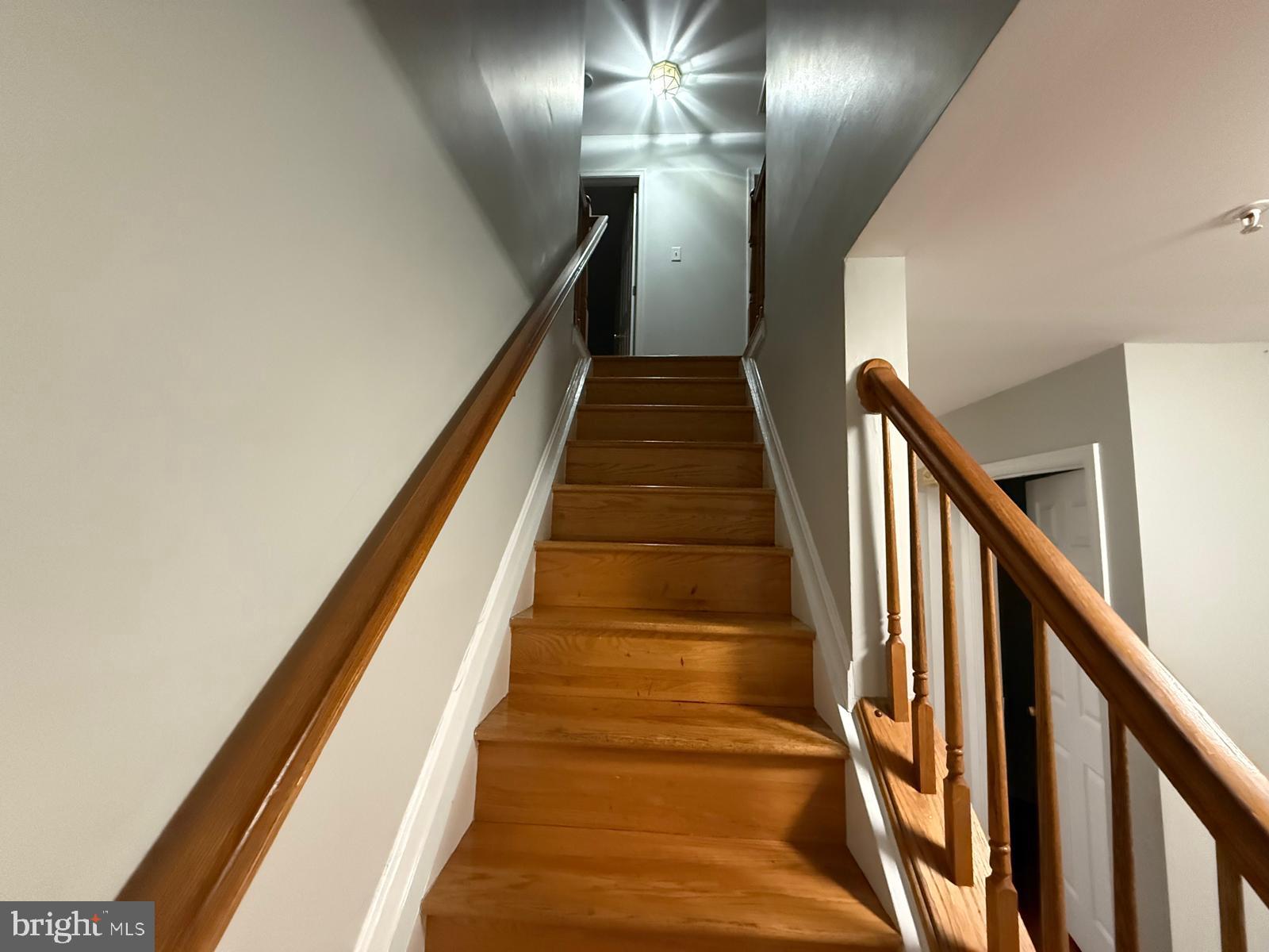 SPRINGDALE-PLAT 3> - Residential Lease