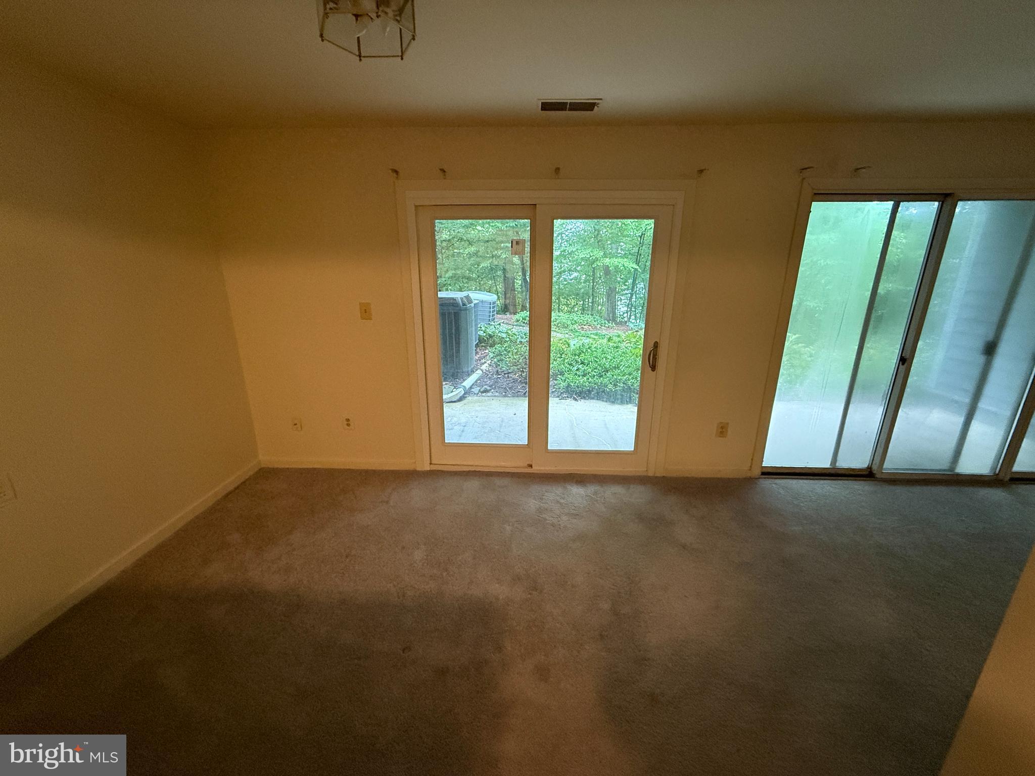 9475 HICKORY LIMB 253