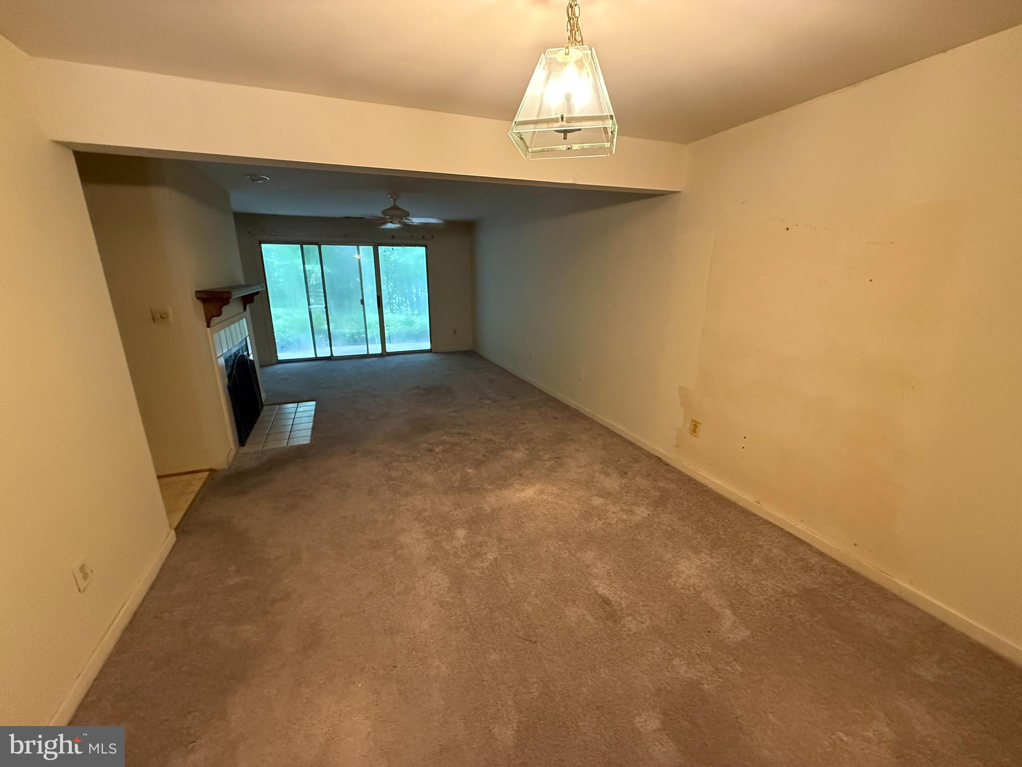 9475 HICKORY LIMB 253