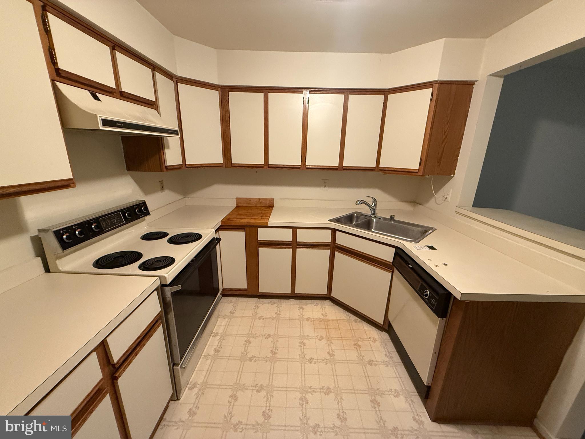 9475 HICKORY LIMB 253