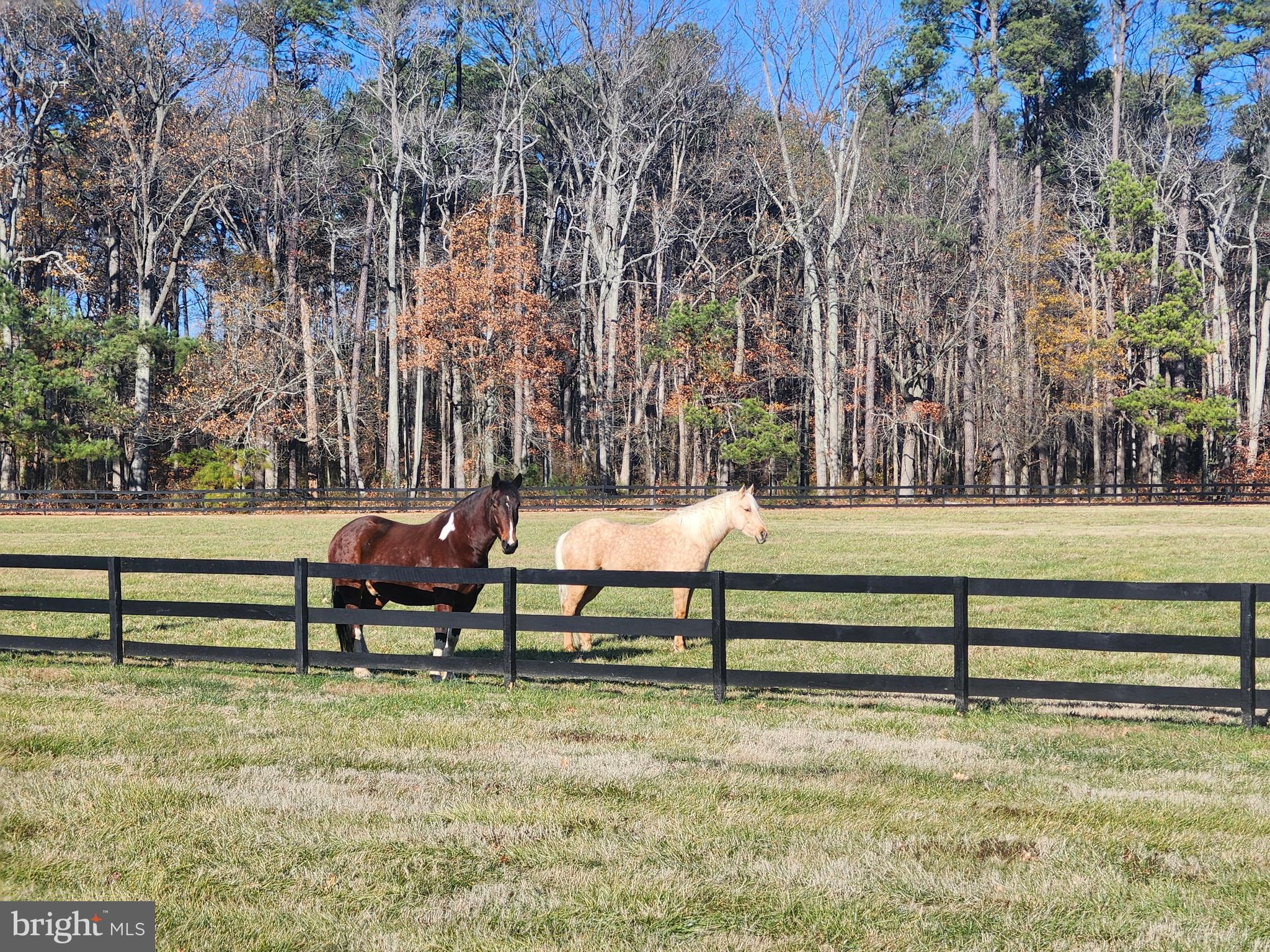 ST. MICHAELS - Residential
