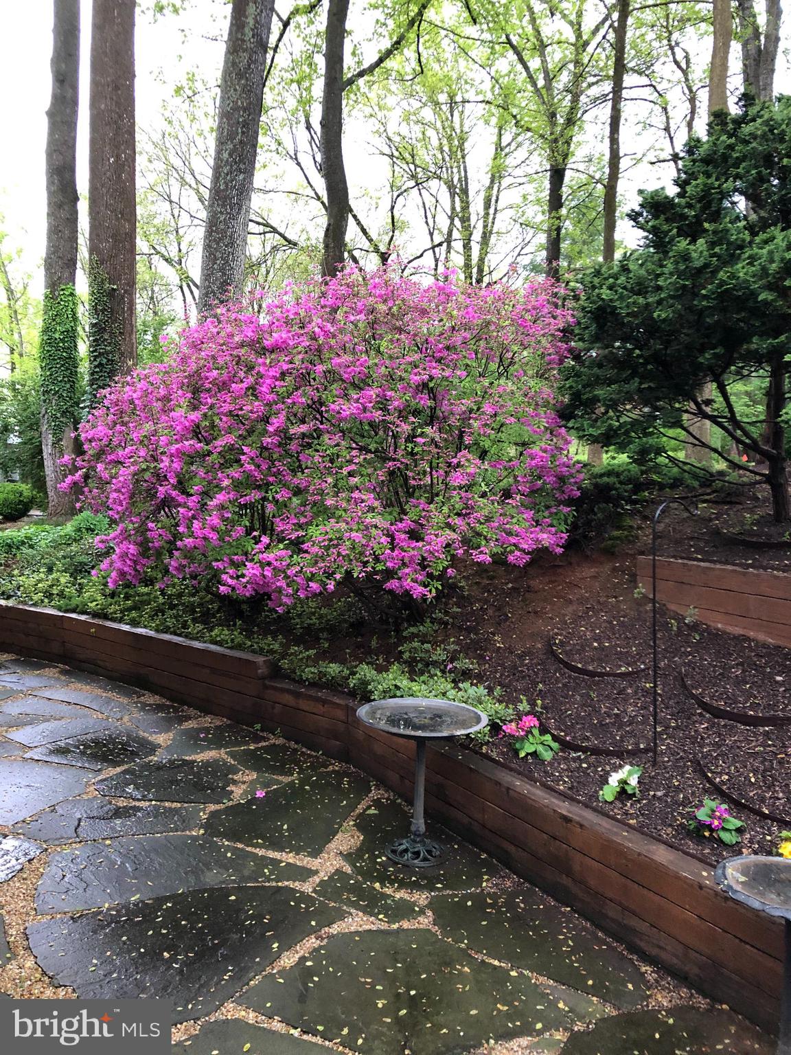 STONELEIGH - Residential