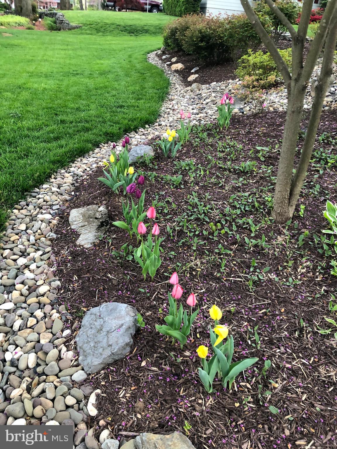 STONELEIGH - Residential