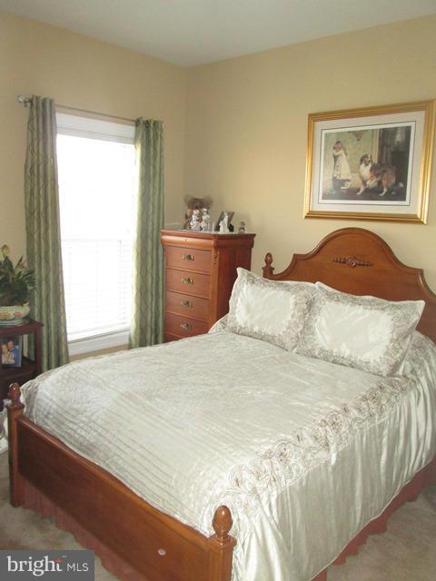 POTOMAC CLUB - Residential