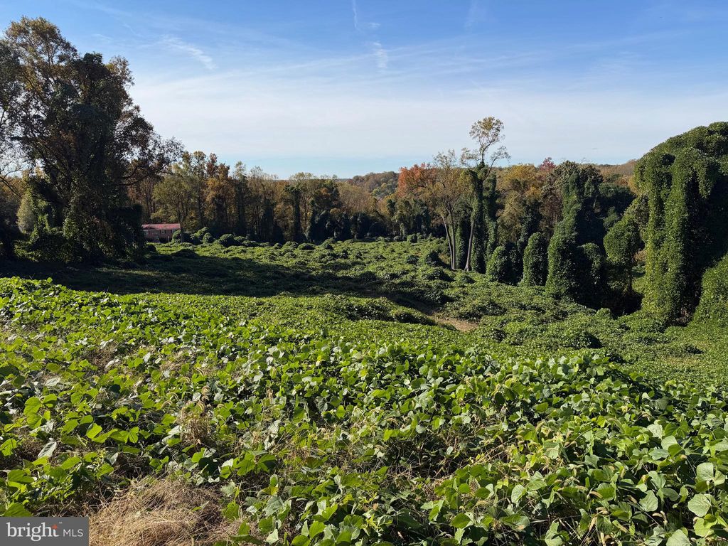 Photo of Joseph Drive, CLINTON, MD 20735 (MLS # MDPG2181796)