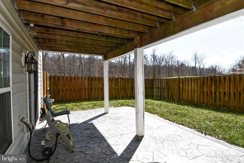 listing image 41