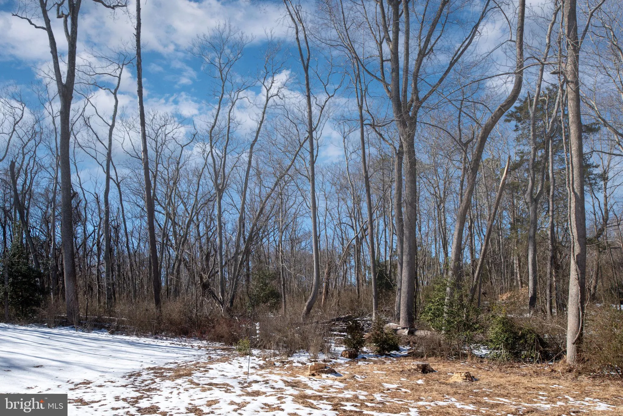 King George, Virginia 22485, United States, 3 Bedrooms Bedrooms, ,2 BathroomsBathrooms,Residential,Contingent,3833