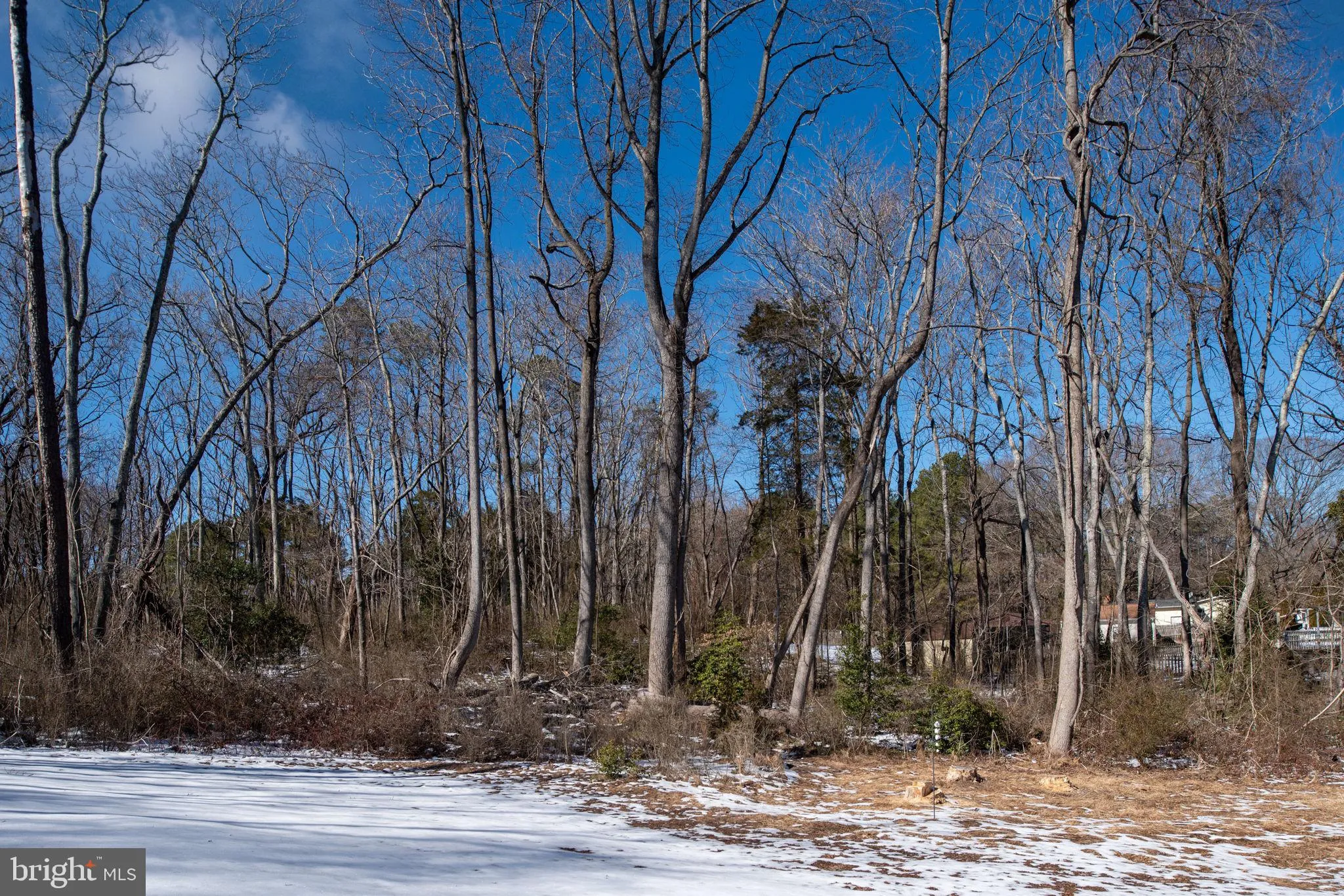 King George, Virginia 22485, United States, 3 Bedrooms Bedrooms, ,2 BathroomsBathrooms,Residential,Contingent,3833