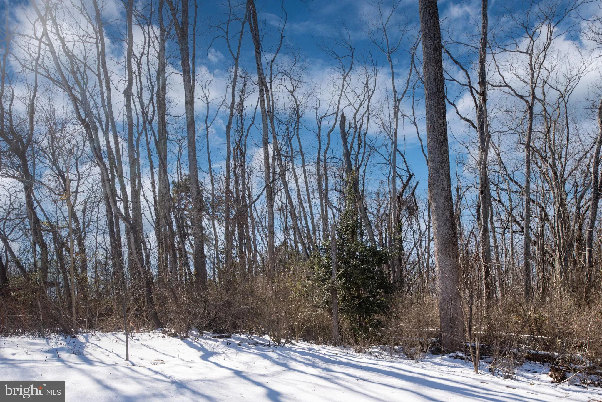 King George, Virginia 22485, United States, 3 Bedrooms Bedrooms, ,2 BathroomsBathrooms,Residential,Contingent,3833