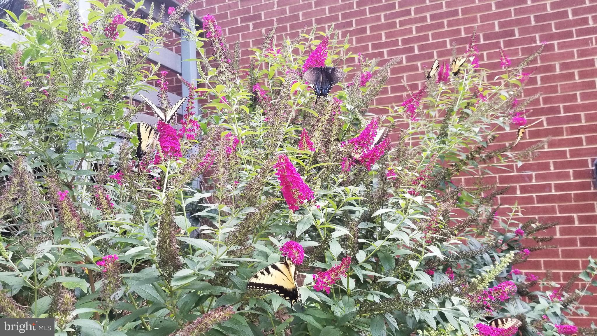 STILLWELL KNOLLS - Residential