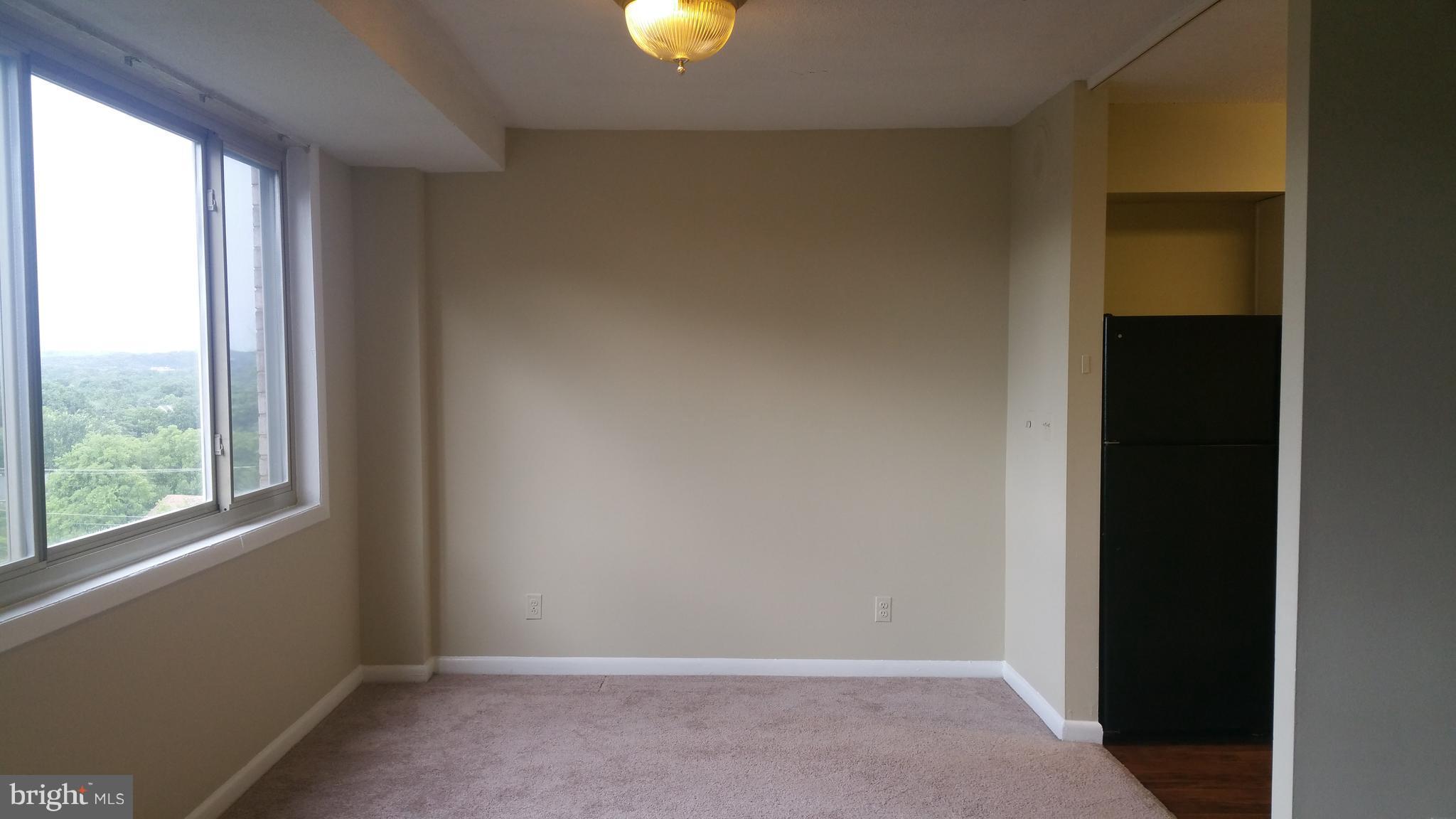 THE OGLETHORPE - Residential