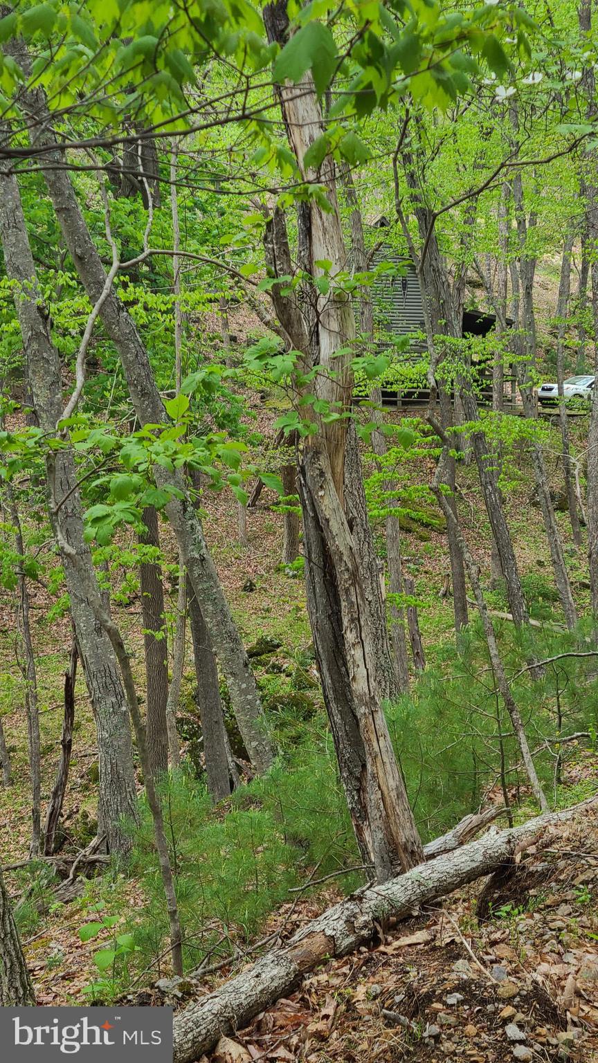 BUCK RIDGES (FORMERLY TREASURE MOUNTAINS) - Residential