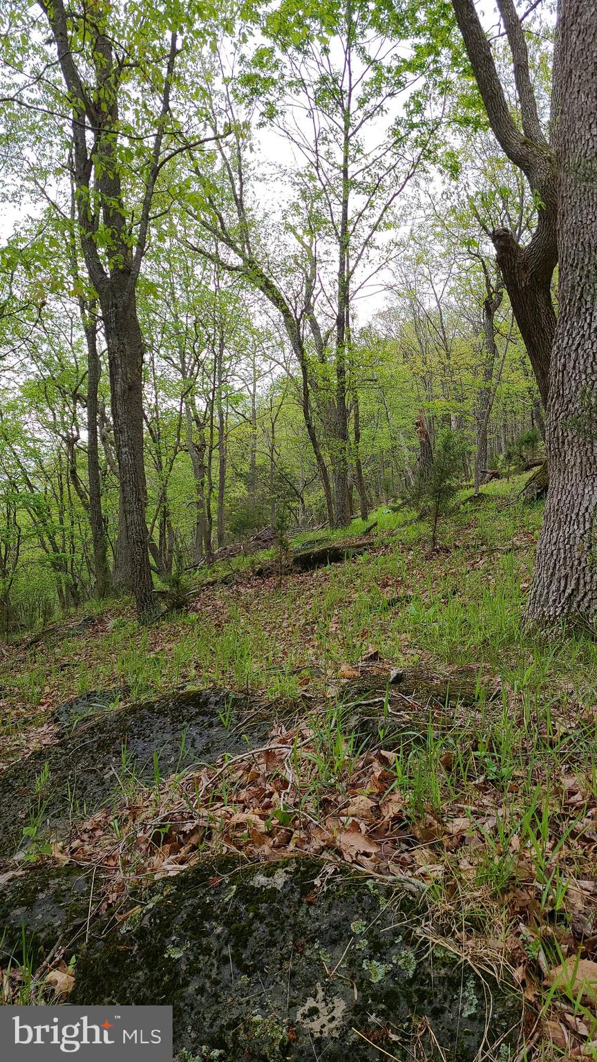 BUCK RIDGES (FORMERLY TREASURE MOUNTAINS) - Residential