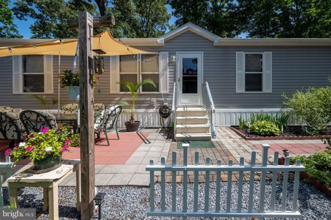 25784 BLUE RIDGE STREET 55774 MILLSBORO DE 19966