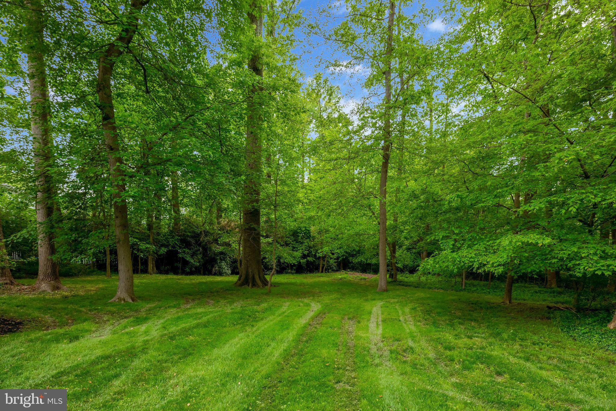 MANTUA - Residential