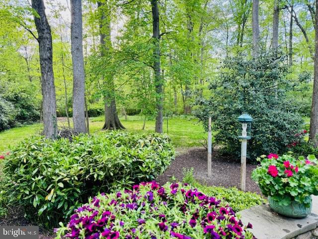 MANTUA - Residential