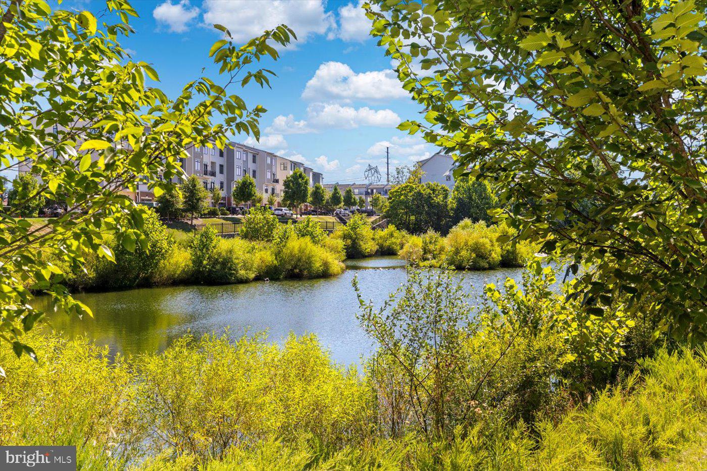 VILLAGE AT LEESBURG - Residential