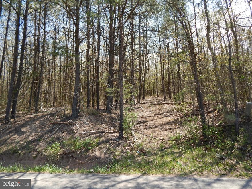 Whether you want to build your dream home, a mobile or double wide as a starter home, or need a location for a business, this 4.48 UNRESTRICTED wooded Acres is a perfect choice.  Located just  2 miles east of Berkeley Springs with 500' of paved county road frontage.