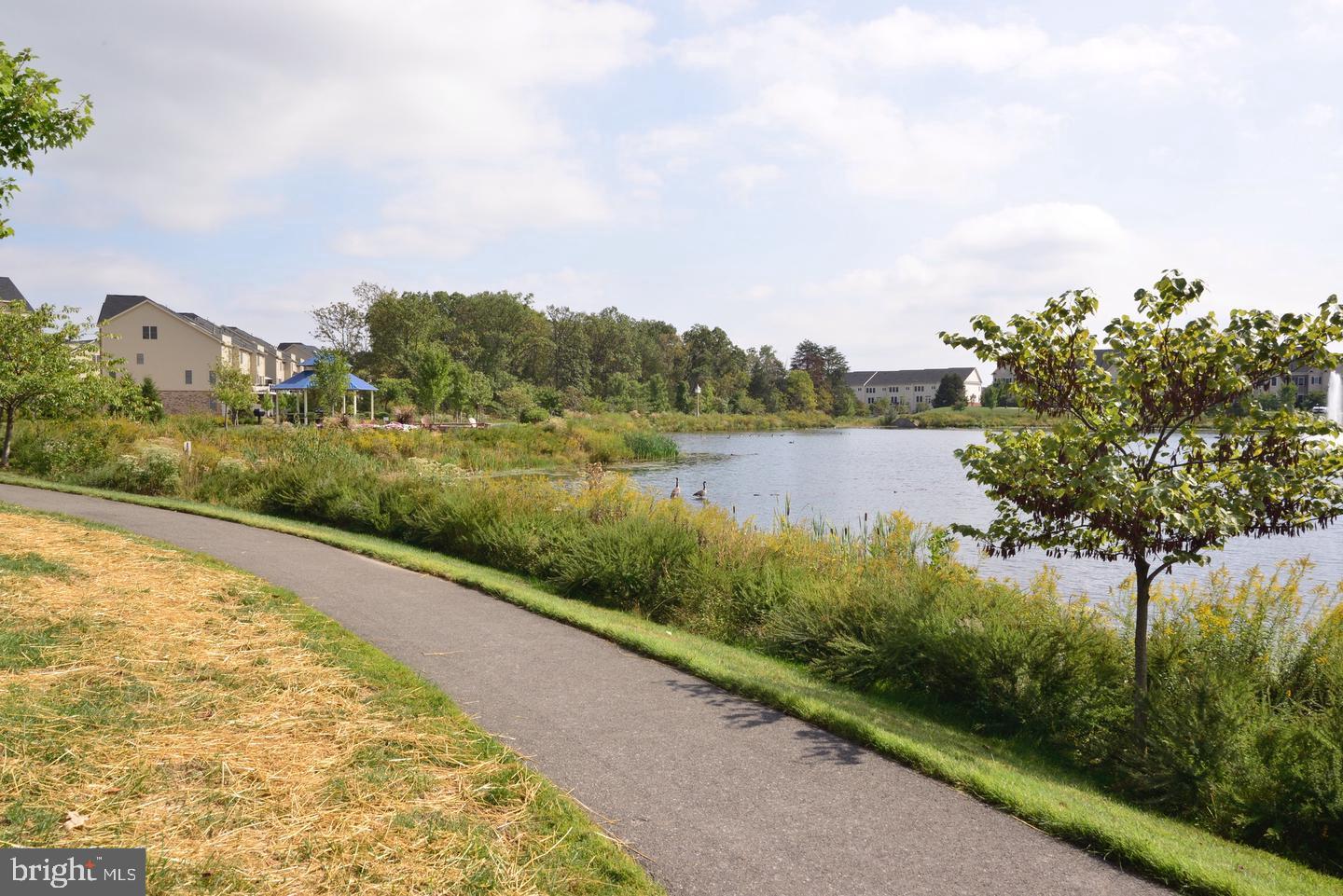 AVONLEA - Residential Lease